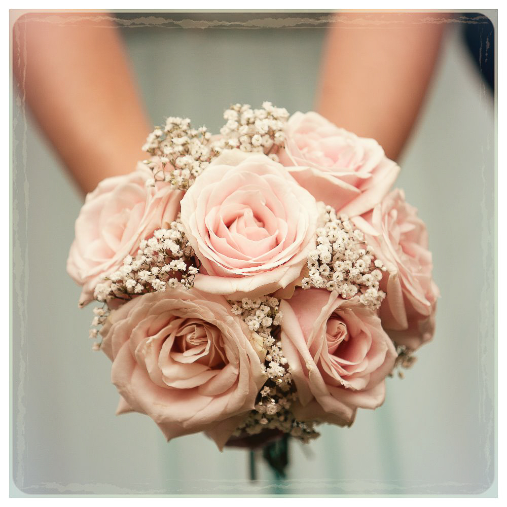 Bournemouth Photographer