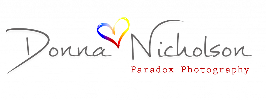 Donna Nicholson Dorset Photographer